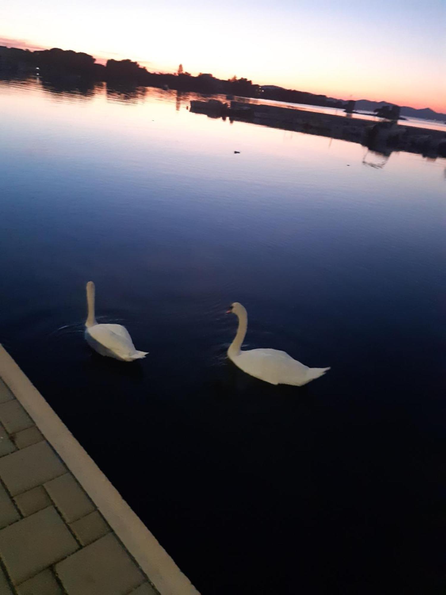 Apartman Barbir Sukošan Exteriér fotografie